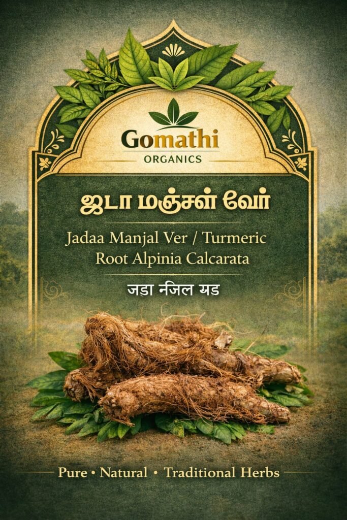 Jatamansi – Baalchadd – Nardostachys Jatamansi | ஜடாமஞ்சி | Spikenard ...