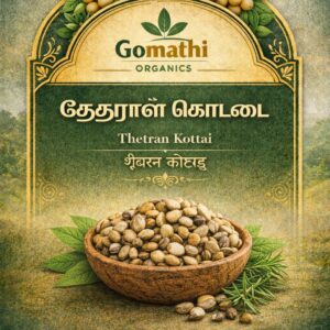 Thetran Kottai | Clearing Nut | Nirmali Seeds | Kataka | Strychnos Potatorum | தேற்றான் கொட்டை