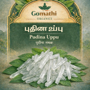 Puthina Uppu | புதினா உப்பு