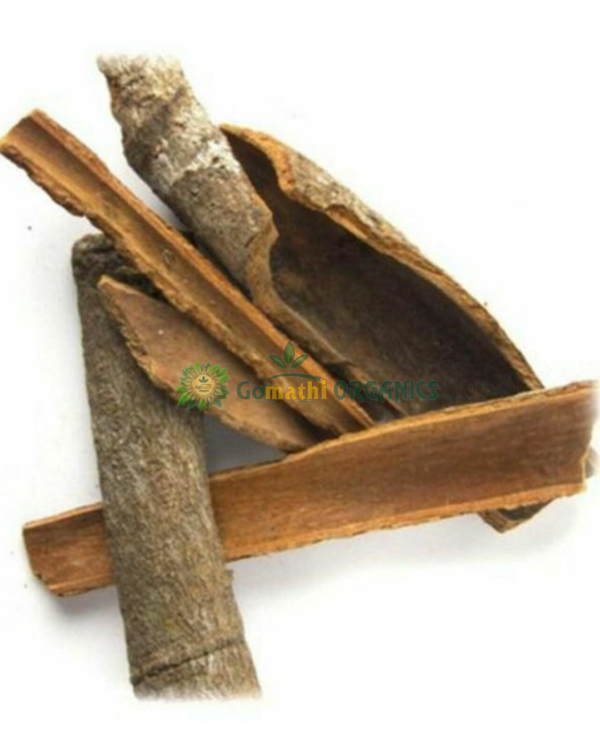 Mamarathu Pattai | மாமரத்துபட்டை