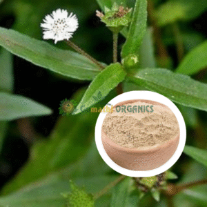 White Karisalankanni Powder | வெள்ளை கரிசலாங்கண்ணி