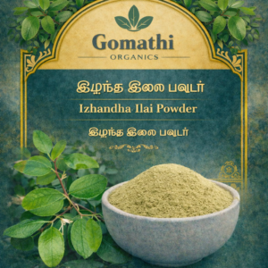 Ilanthai ilai Powder  | இலந்தை இலை பொடி  | Jujube | Indian