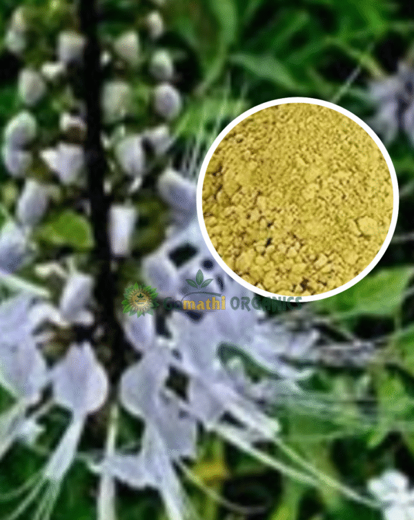 Poonai Meesai Powder | பூனை மீசை பொடி