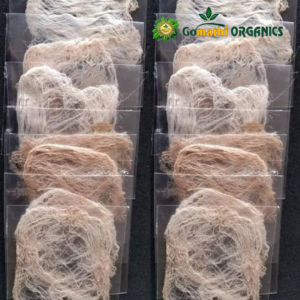 Banana Stem Wicks | வாழைத்தண்டு திரி - 10 Pc