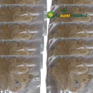 Lotus Wicks | தாமரை திரி - 10 pc