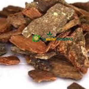 MAVILANGA PATTAI | மாவிலங்கம் பட்டை