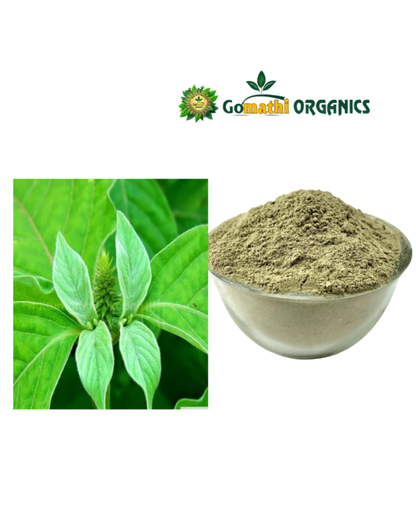 Nayuruvi Ealai Powder| நாயுருவி இலை பொடி