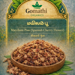 Mahilam Poo | மகிழம் பூ