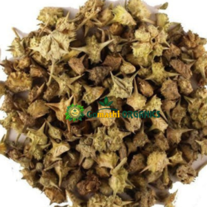 Yanai Nerunjil | யானை நெருஞ்சில்