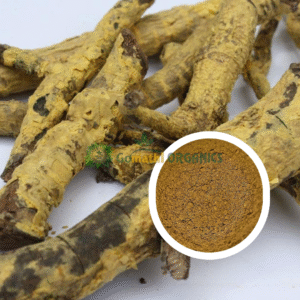 Ponkorandi Ver Powder | Salacia Reticulata Root Powder | பொன்கொரந்தி வேர் பொடி