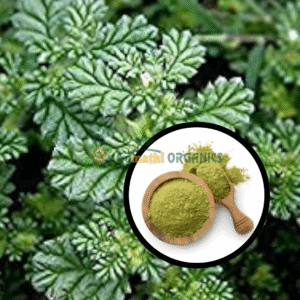 Siru seruppadai powder | சிறுசெருப்படை பொடி