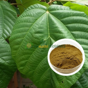 Athi ilai powder / Medi Chettu |  அத்தி இலைப் பொடி