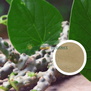 Seenthil Kodi Powder / Giloy powder | சீந்தில் கொடி பொடி