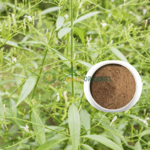 Nilavembu Powder / King of Bitters | Green Chiretta | நிலவேம்பு பொடி
