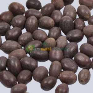 Lotus Seeds | Kamal Gatta Seeds | தாமரை விதைகள்