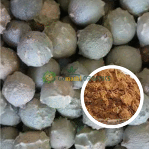 Masikkai Powder  | Majuphal | Manjakani | மாசிக்காய் பொடி
