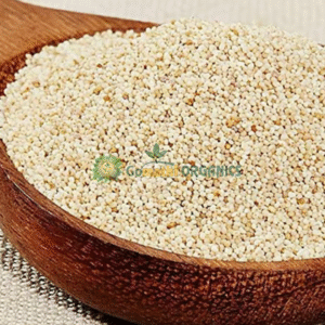 Poppy Seed | Kasa Kasa | கசகசா