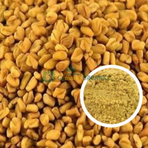 Vendhayam Powder / Trigonella Foenum  / வெந்தயப் பொடி