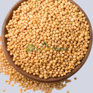 VEN KADUGU | YELLOW MUSTARD SEEDS | வெண்கடுகு