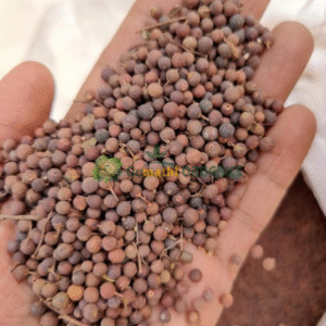 False Black Pepper | வாய்விளங்கம்