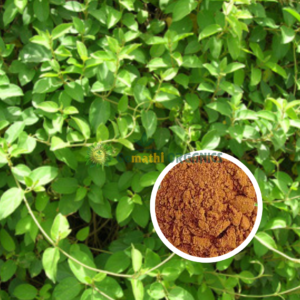 Sakkaraikolli Powder | சர்க்கரைக்கொல்லி பொடி