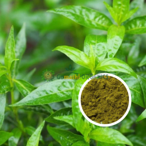 Siriyanangai Powder | சிறியாநங்கை பொடி