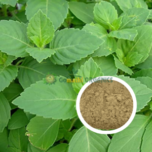Tulsi Powder | துளசி பொடி