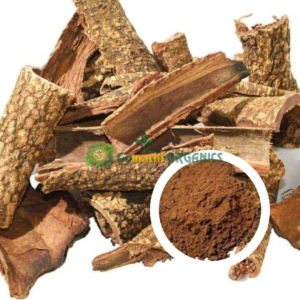 poovarasam pattai powder | பூவரசம் பட்டை பொடி