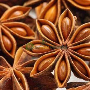 Annachi poo/ Star Anise