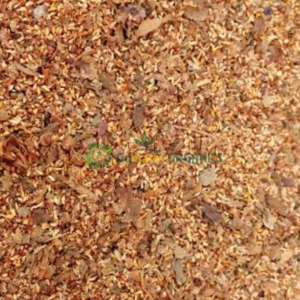 Arasa Vithai / Sacred Fig / Peepal Seed