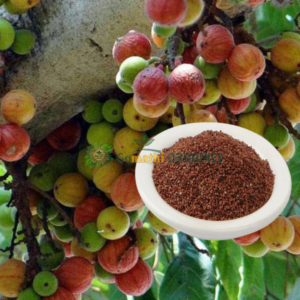 Aththi Vithai/Cluster Fig seeds