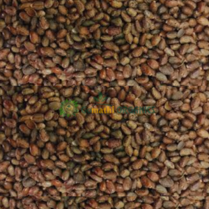 Castor seeds / Amanakku