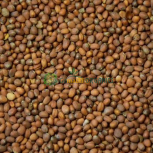 Radish seeds / Mullangi vidhai