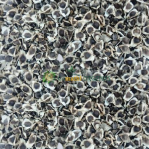 Murunga seed/Murungai vithai