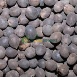 Thamarai Vidhai/Lotus Seeds