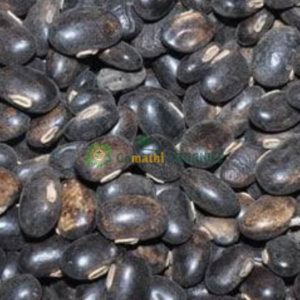poonaikali vidhai/ Velvet Beans/Cowhage