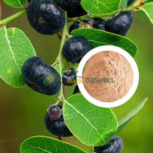 Karumboola powder / கரும்பூலா பொடி