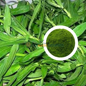 Ponnanganni Powder / பொன்னாங்கண்ணி பொடி