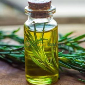 Rose meari oil / ரோஸ்மேரி எண்ணெய்