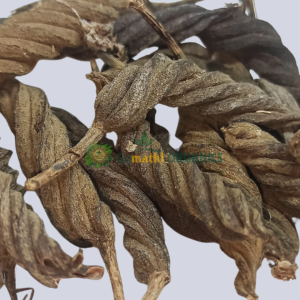 Valampuri kai / வலம்புரி காய்