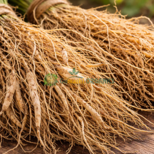 Vetiver / வெட்டிவேர்